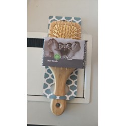 Brosse rosse bois
