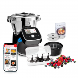 Moulinex Companion touch...