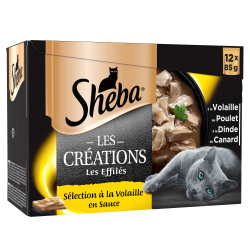 Lot de 4 paquets de...