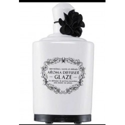 Diffuseur parfum huiles essentiel